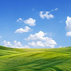 Meet your Posher, Carlina